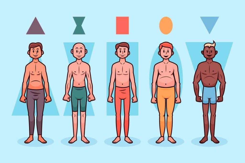 understanding Body Types and Personalities